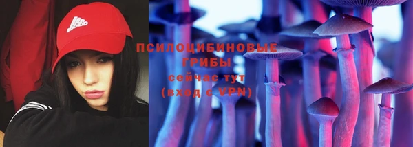 таблы Няндома