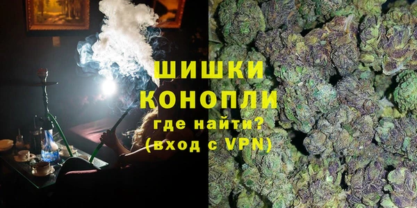 дурь Новодвинск